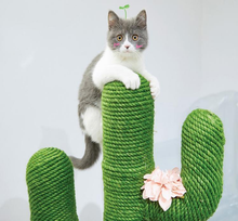 Load image into Gallery viewer, Super Cute New Cactus Best Cat Climbing Tree - DreamTreeTech
